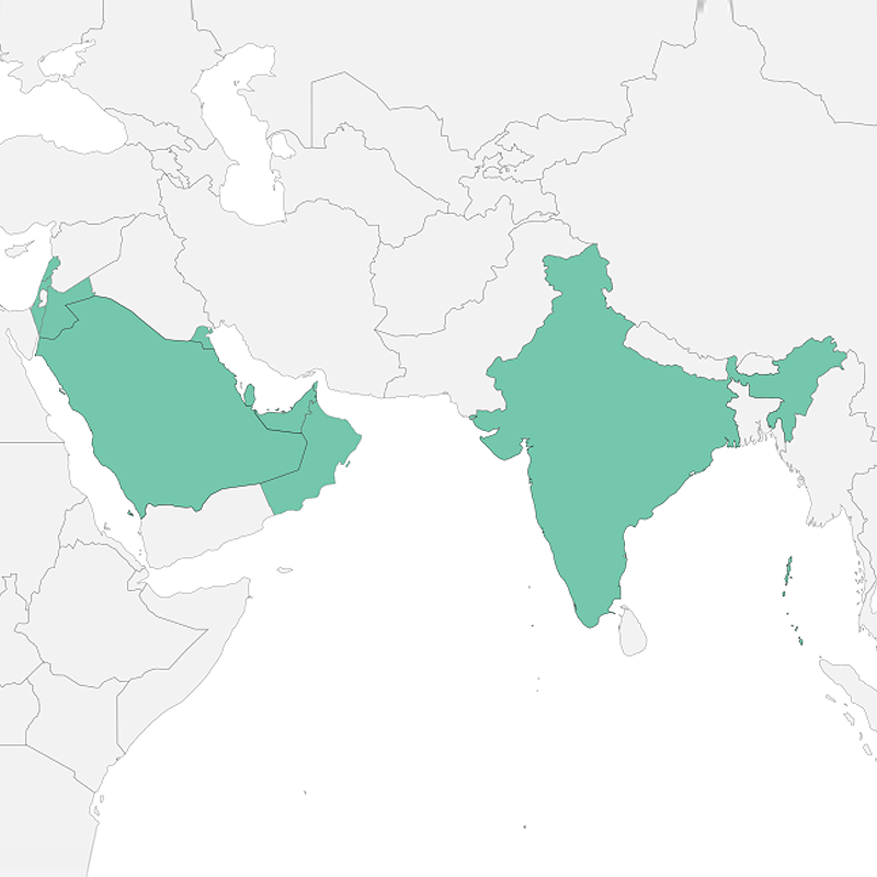 I clienti Proleven in Asia